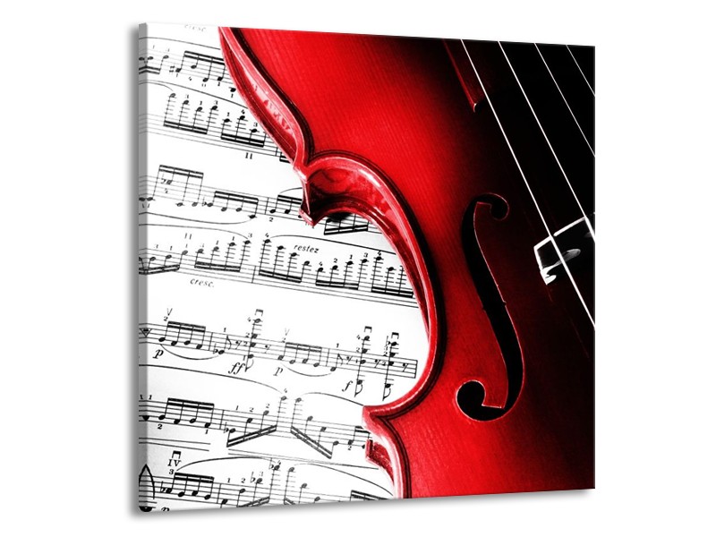Glas schilderij Instrument | Zwart, Wit, Rood | 50x50cm 1Luik