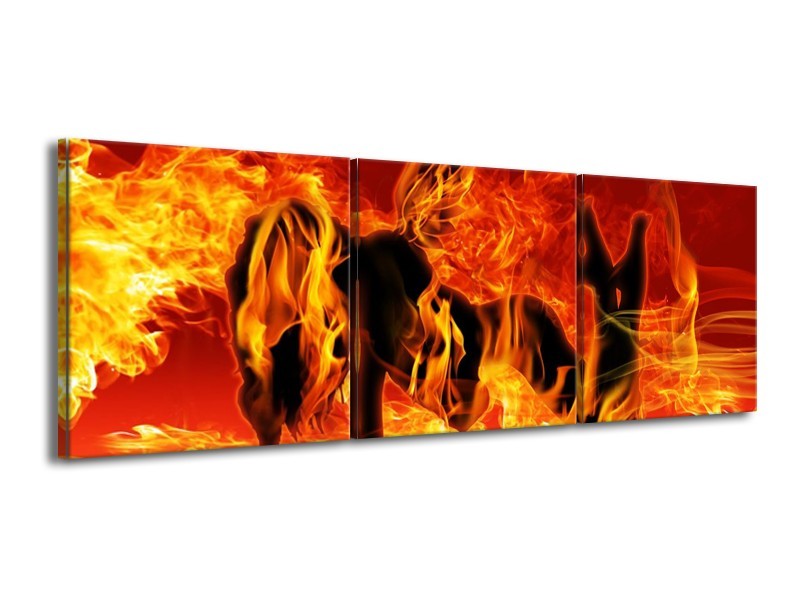 Canvas schilderij Vrouw | Zwart, Oranje, Geel | 150x50cm 3Luik