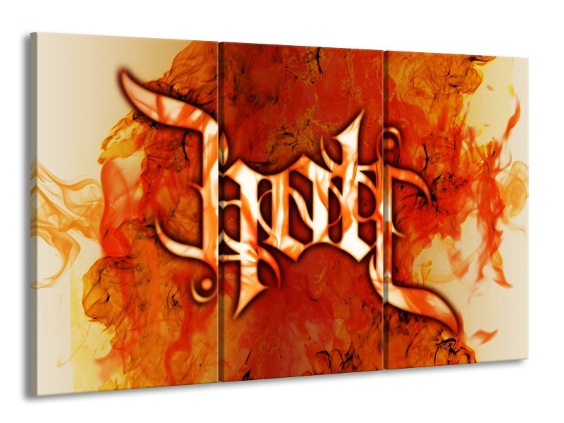 Canvas schilderij Vuur | Zwart, Oranje, Geel | 165x100cm 3Luik