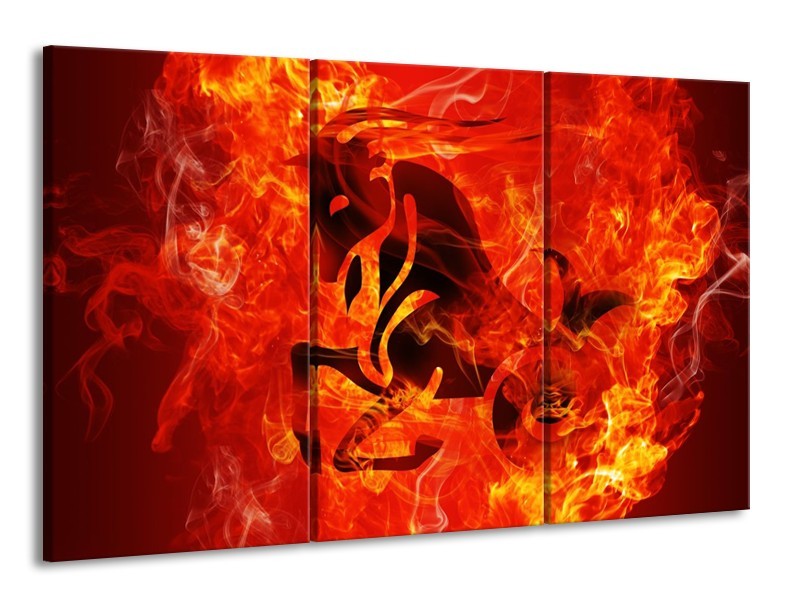 Glas schilderij Paard | Zwart, Oranje, Geel | 165x100cm 3Luik