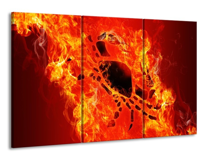 Glas schilderij Vuur | Zwart, Oranje, Geel | 165x100cm 3Luik