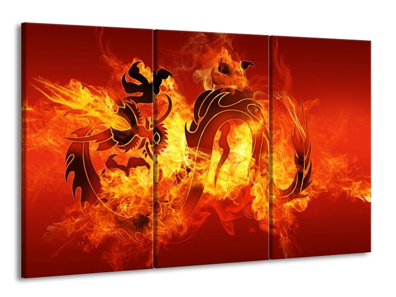 Glas schilderij Draak | Zwart, Oranje, Geel | 165x100cm 3Luik