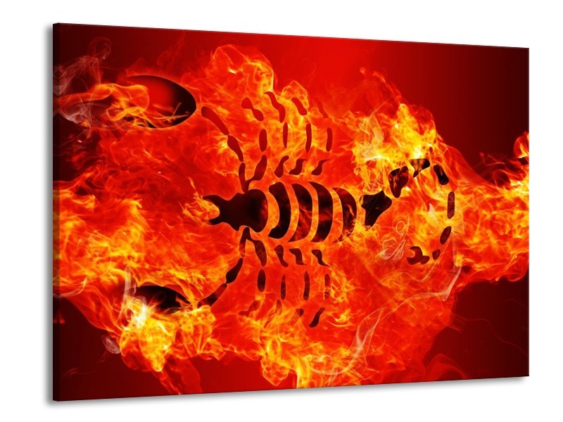 Canvas schilderij Vuur | Zwart, Oranje, Geel | 100x70cm 1Luik