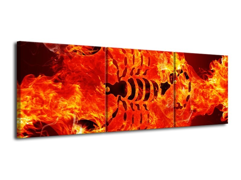 Canvas schilderij Vuur | Zwart, Oranje, Geel | 120x40cm 3Luik
