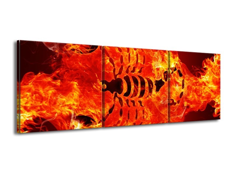 Canvas schilderij Vuur | Zwart, Oranje, Geel | 150x50cm 3Luik