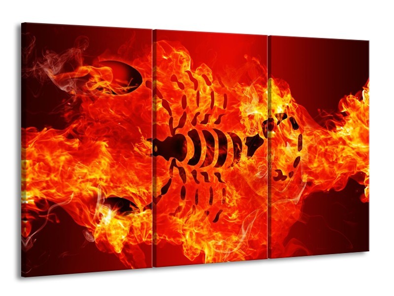 Glas schilderij Vuur | Zwart, Oranje, Geel | 165x100cm 3Luik