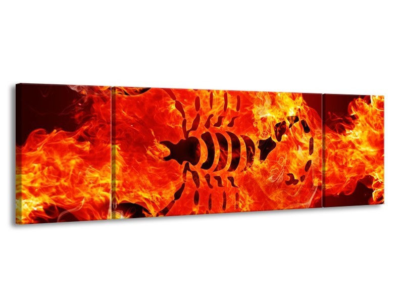 Canvas schilderij Vuur | Zwart, Oranje, Geel | 170x50cm 3Luik