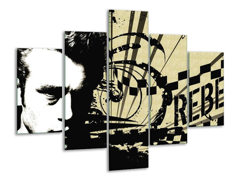 Glas schilderij Popart | Zwart, Wit, Bruin | 100x70cm 5Luik