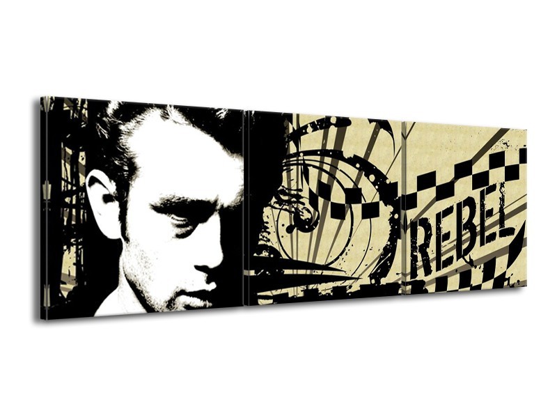 Canvas schilderij Popart | Zwart, Wit, Bruin | 150x50cm 3Luik