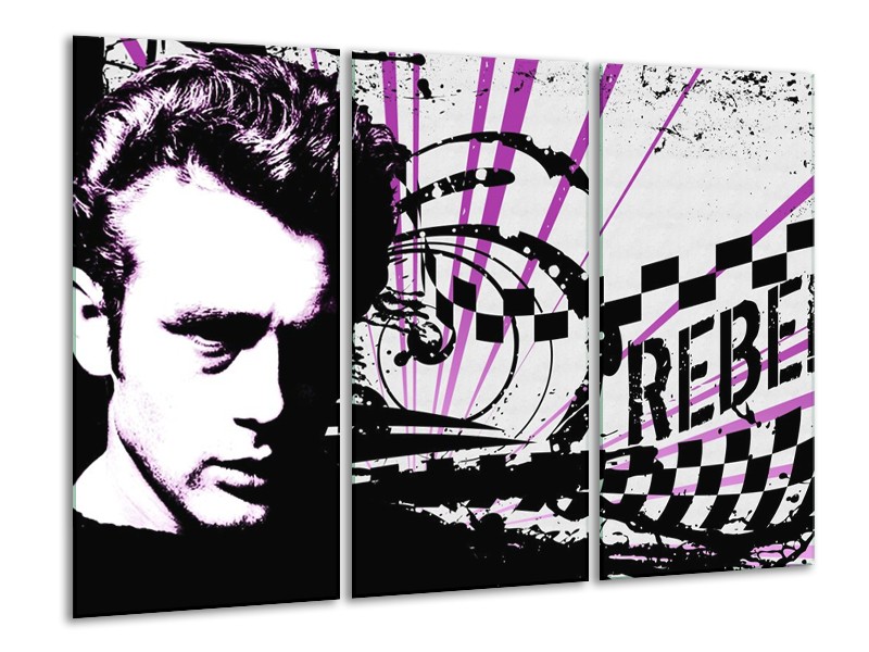 Canvas schilderij Popart | Zwart, Wit, Paars | 120x80cm 3Luik