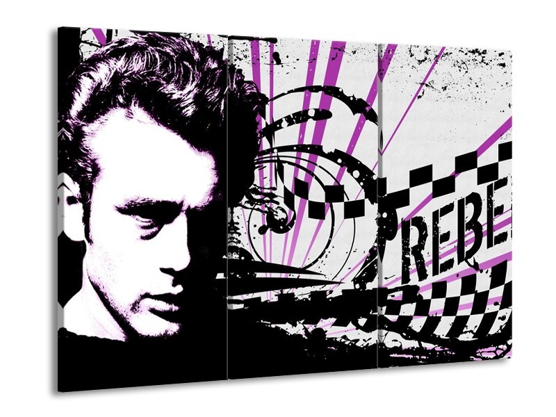 Canvas schilderij Popart | Zwart, Wit, Paars | 90x60cm 3Luik