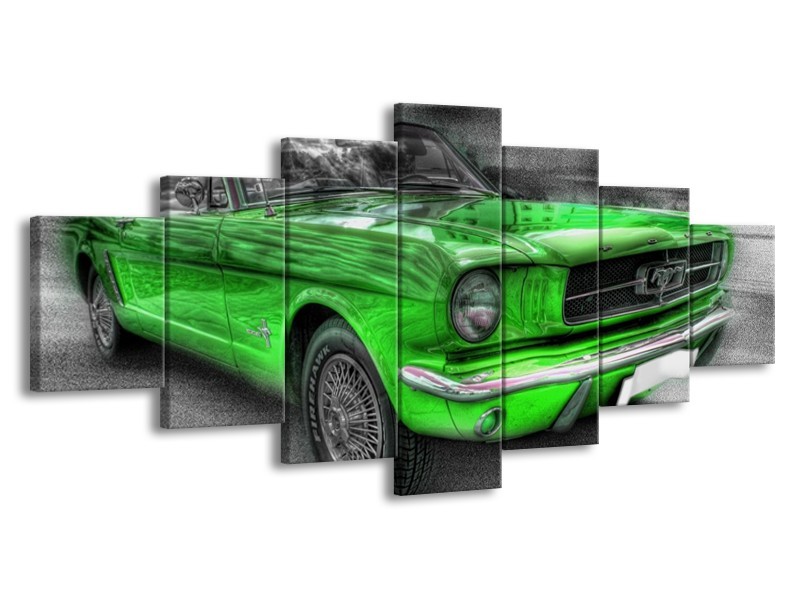 Glas schilderij Ford | Grijs, Groen | 210x100cm 7Luik