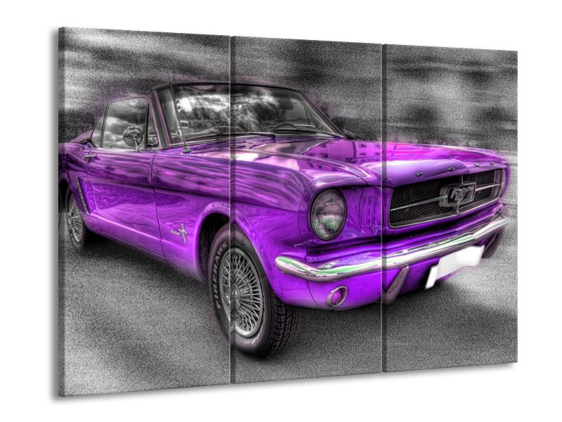 Glas schilderij Mustang | Zwart, Grijs, Paars | 90x60cm 3Luik