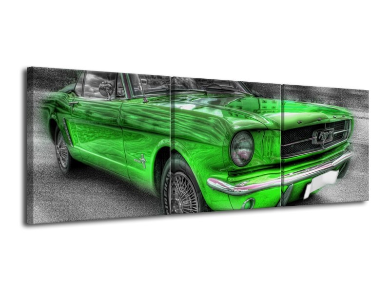 Glas schilderij Mustang | Zwart, Grijs, Groen | 120x40cm 3Luik