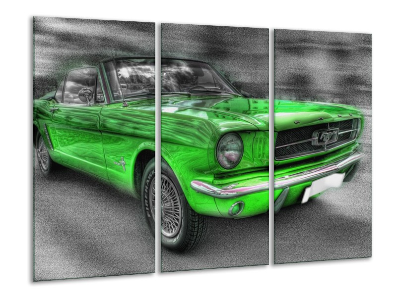 Glas schilderij Mustang | Zwart, Grijs, Groen | 120x80cm 3Luik
