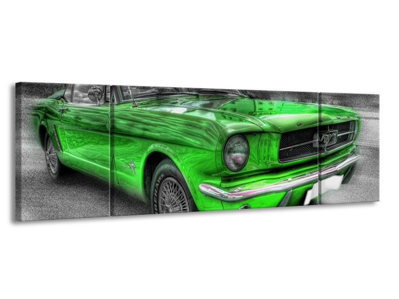 Glas schilderij Mustang | Zwart, Grijs, Groen | 170x50cm 3Luik