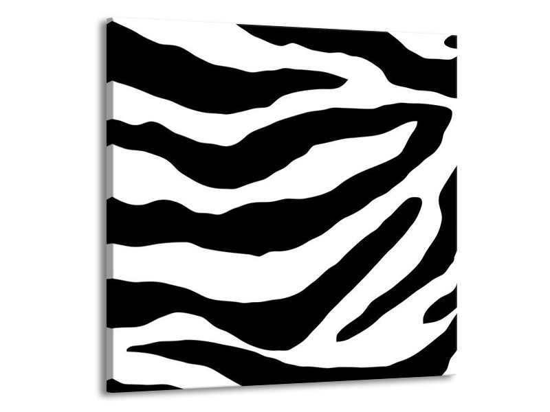 Canvas schilderij Zebra | Zwart, Paars | 50x50cm 1Luik