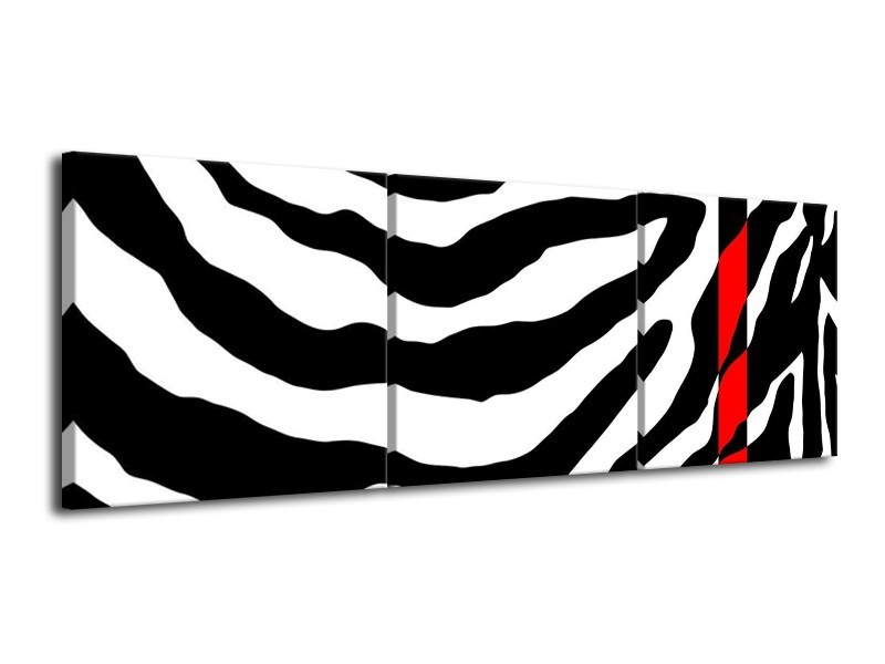 Glas schilderij Zebra | Zwart, Rood, Wit | 120x40cm 3Luik