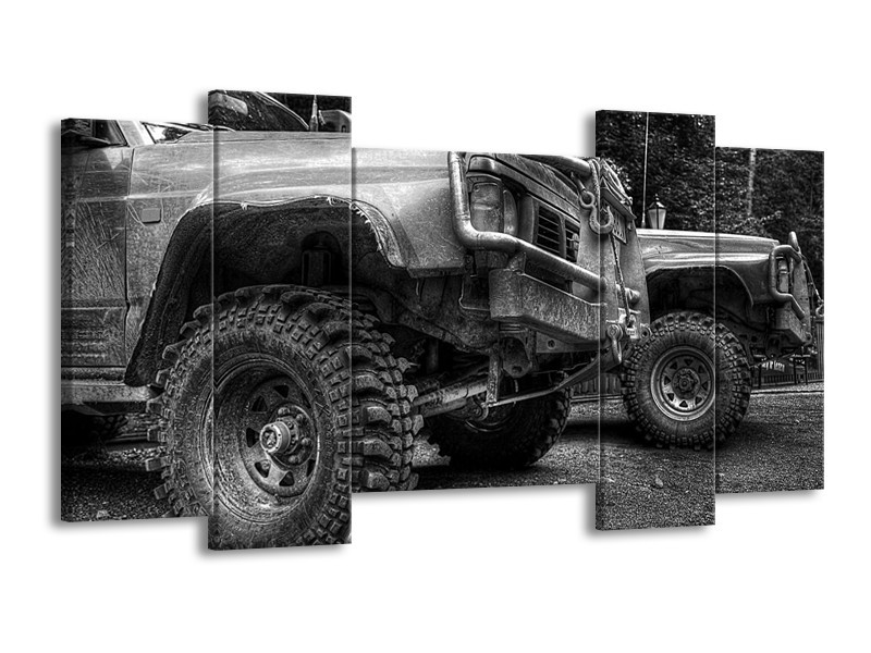 Glas schilderij Auto | Zwart, Wit, Grijs | 120x65cm 5Luik