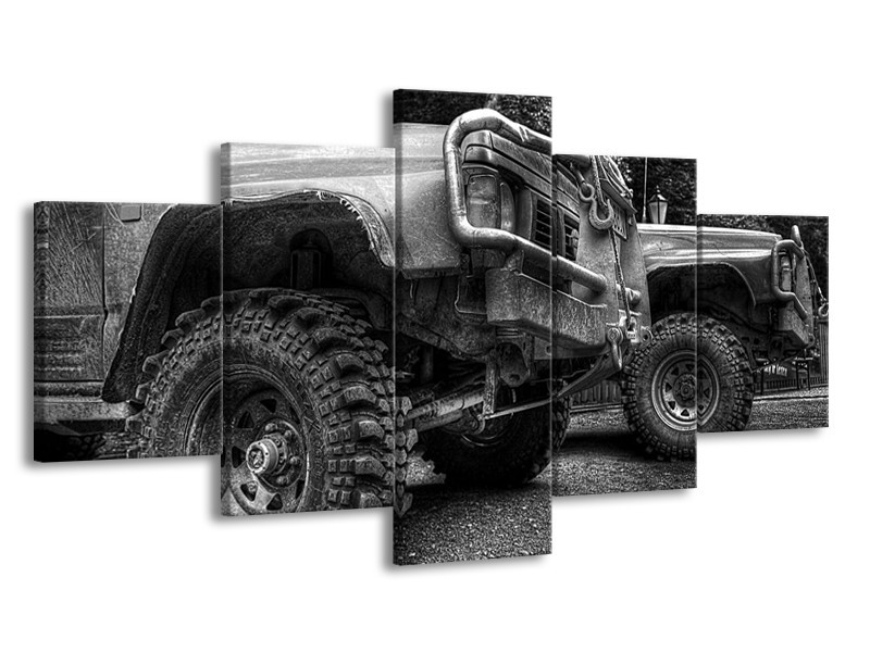 Glas schilderij Auto | Zwart, Wit, Grijs | 150x80cm 5Luik