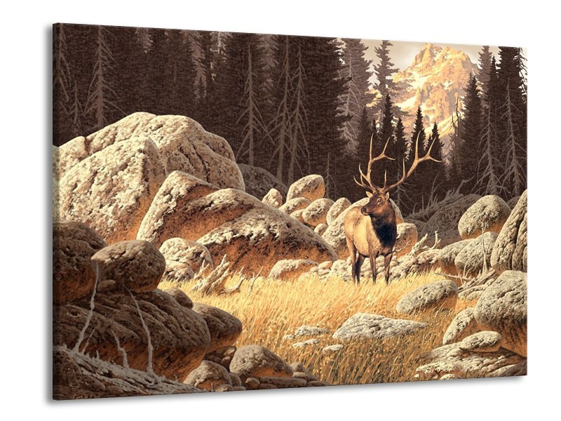 Canvas schilderij Natuur | Bruin, Wit | 100x70cm 1Luik