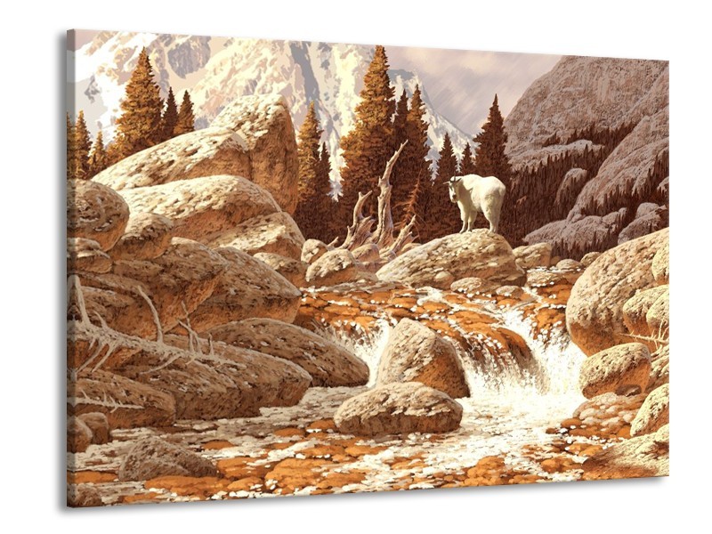 Canvas schilderij Natuur | Bruin, Wit | 100x70cm 1Luik