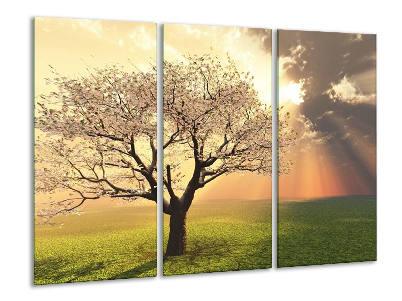 Canvas schilderij Boom | Groen, Geel, Wit | 120x80cm 3Luik