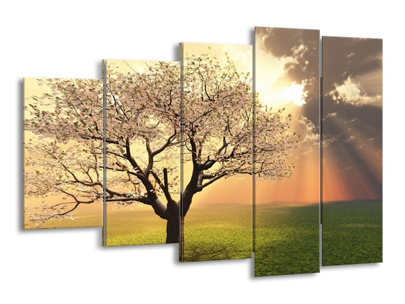 Canvas schilderij Boom | Groen, Geel, Wit | 150x100cm 5Luik