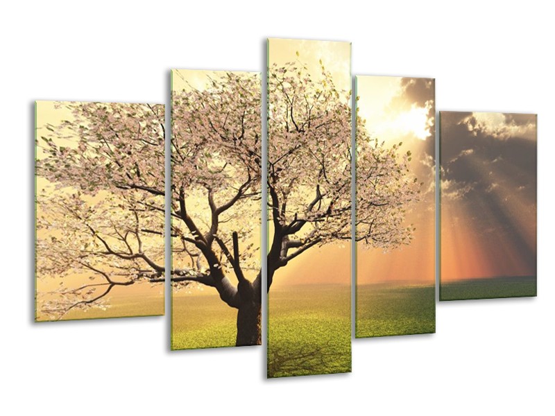 Canvas schilderij Boom | Groen, Geel, Wit | 170x100cm 5Luik