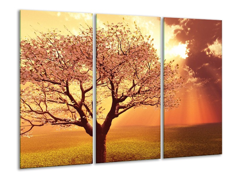 Canvas schilderij Boom | Geel, Oranje, Bruin | 120x80cm 3Luik