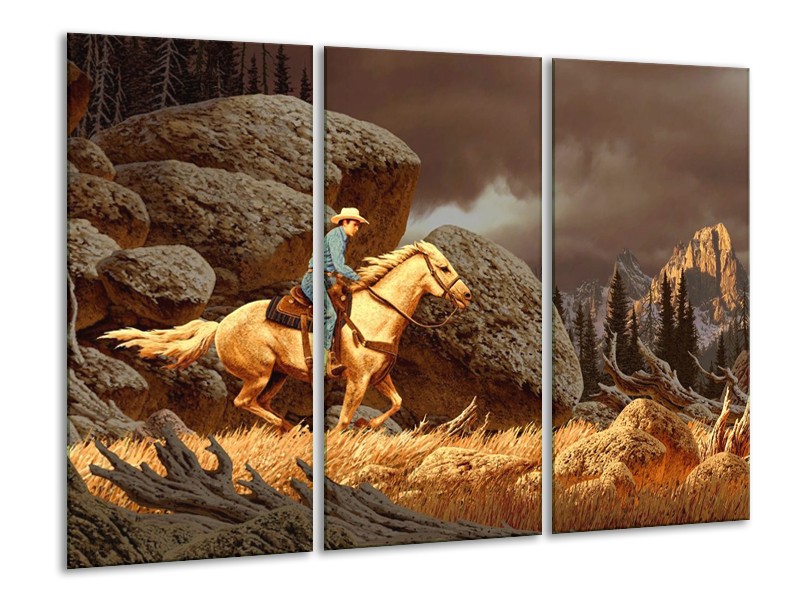 Canvas schilderij Paard | Bruin, Geel, Grijs | 120x80cm 3Luik