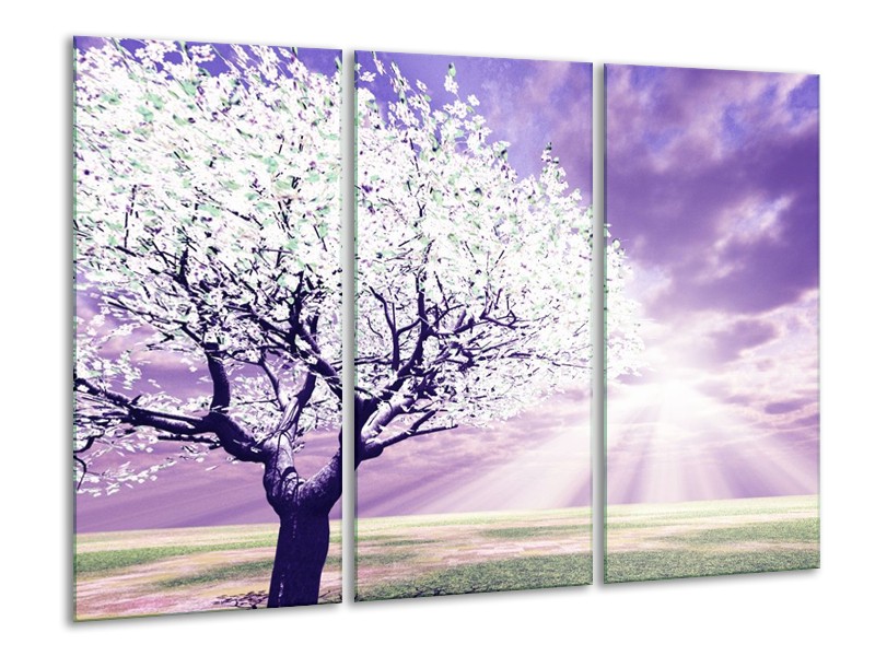 Canvas schilderij Boom | Paars, Wit | 120x80cm 3Luik