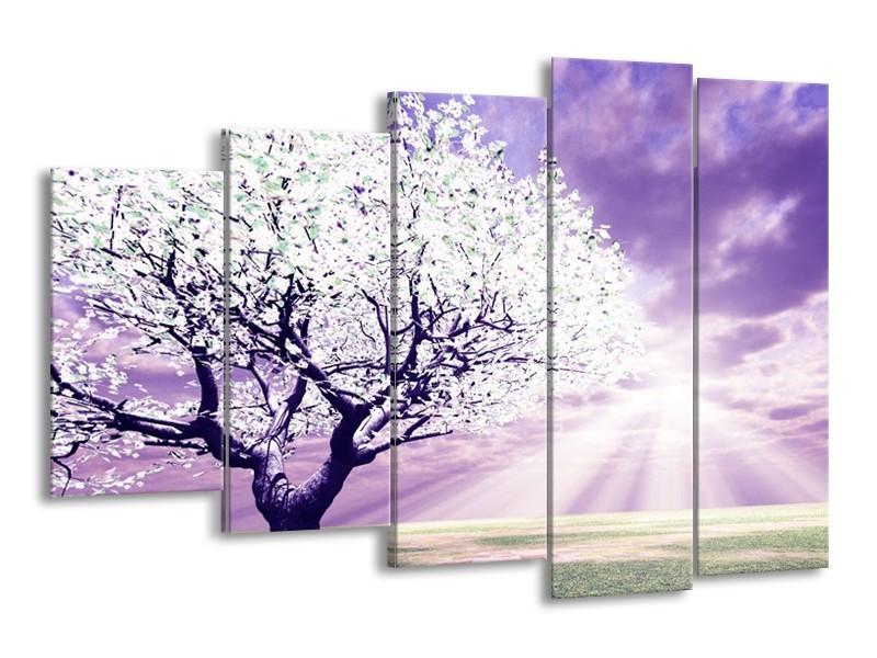 Canvas schilderij Boom | Paars, Wit | 150x100cm 5Luik