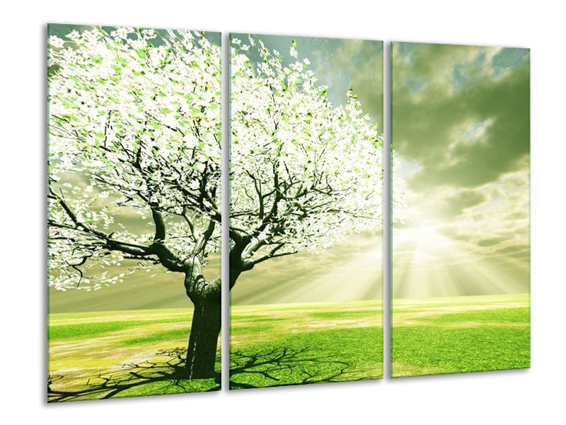 Canvas schilderij Boom | Groen, Wit, Zwart | 120x80cm 3Luik