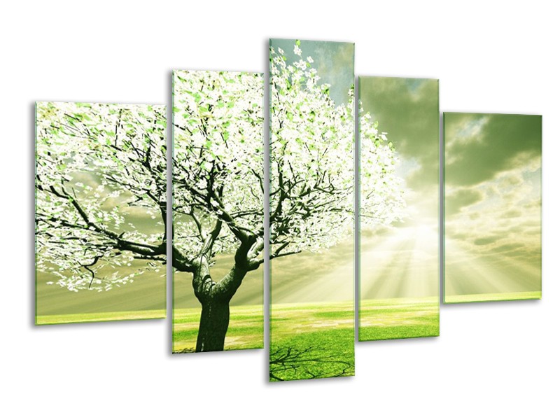 Canvas schilderij Boom | Groen, Wit, Zwart | 170x100cm 5Luik