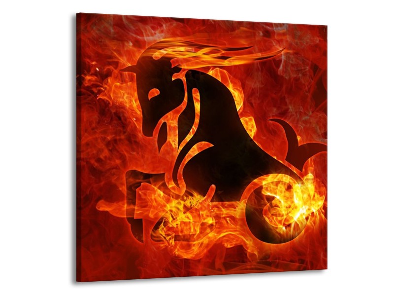 Glas schilderij Paard | Rood, Geel, Oranje | 70x70cm 1Luik