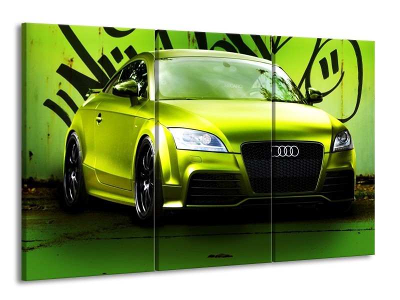 Glas schilderij Audi | Groen, Zwart | 165x100cm 3Luik