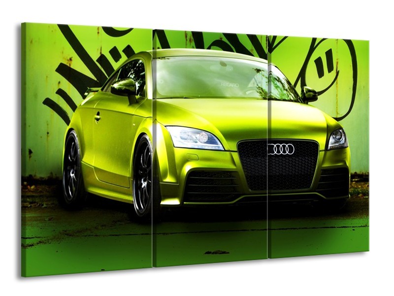 Canvas schilderij Audi | Groen, Zwart | 165x100cm 3Luik