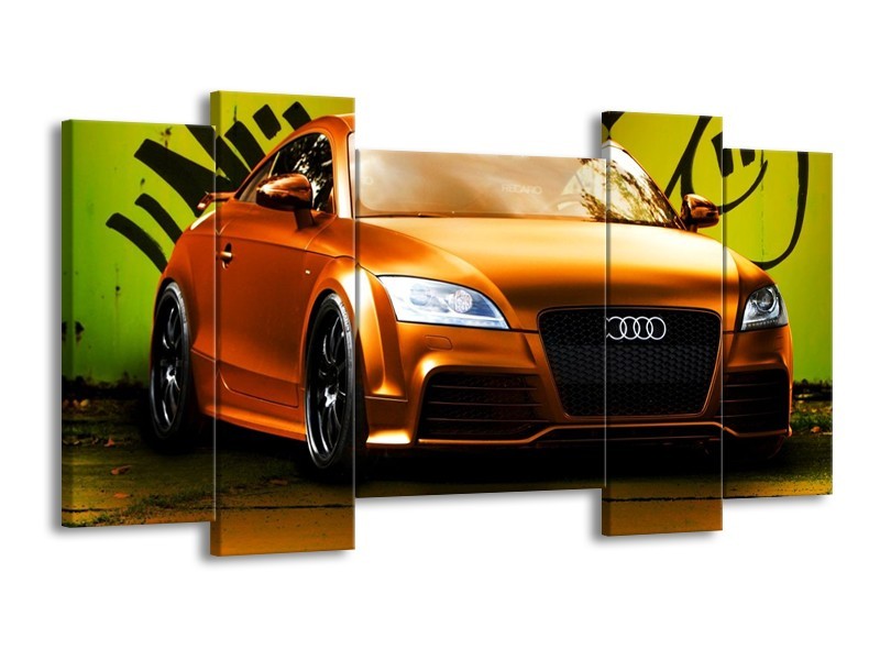 Glas schilderij Audi | Bruin, Groen, Zwart | 120x65cm 5Luik