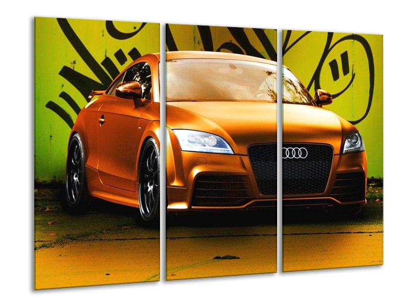Canvas schilderij Audi | Bruin, Groen, Zwart | 120x80cm 3Luik