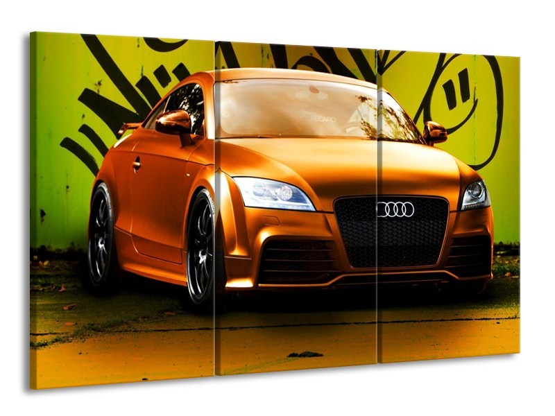 Glas schilderij Audi | Bruin, Groen, Zwart | 165x100cm 3Luik