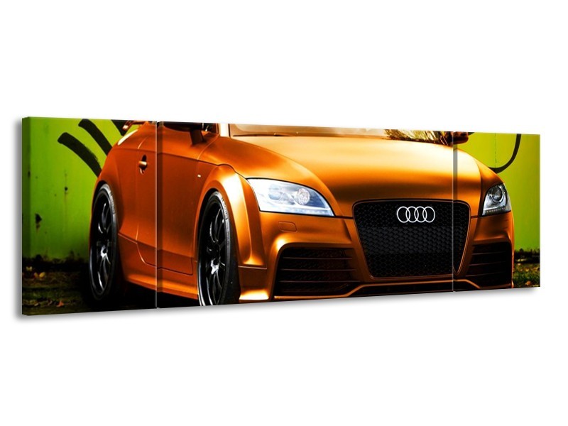 Glas schilderij Audi | Bruin, Groen, Zwart | 170x50cm 3Luik