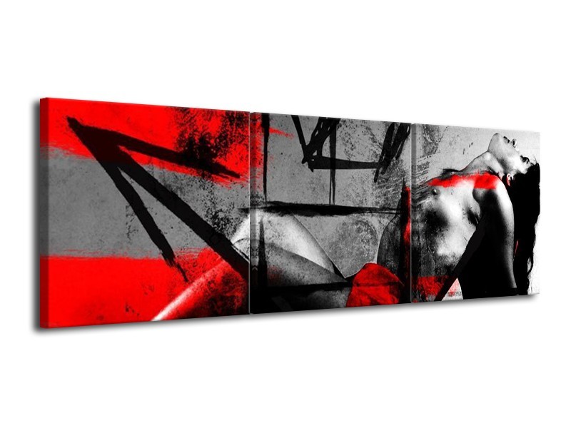 Glas schilderij Lichaam | Rood, Grijs, Zwart | 120x40cm 3Luik