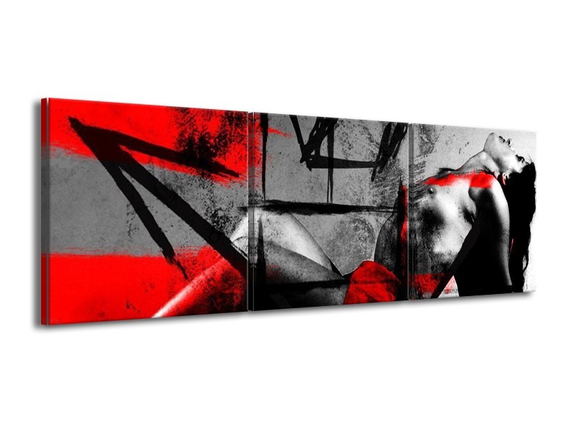 Glas schilderij Lichaam | Rood, Grijs, Zwart | 150x50cm 3Luik