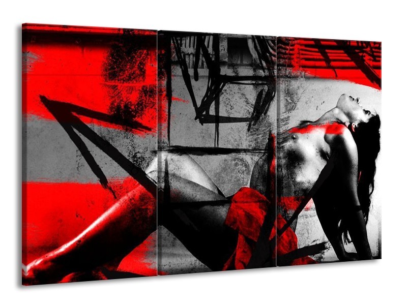 Glas schilderij Lichaam | Rood, Grijs, Zwart | 165x100cm 3Luik