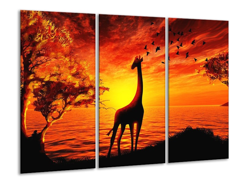 Canvas schilderij Dieren | Geel, Oranje, Zwart | 120x80cm 3Luik