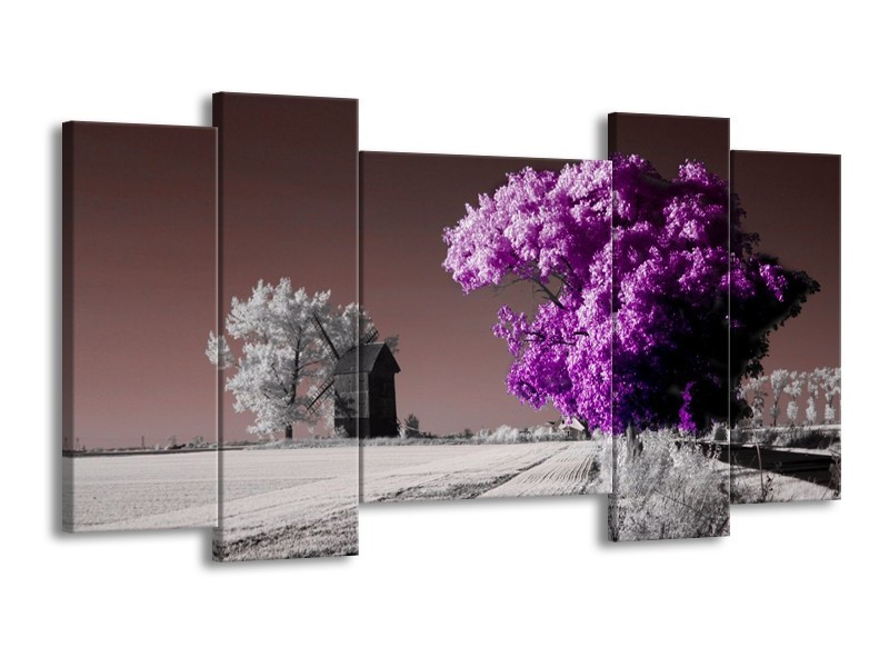 Canvas schilderij Natuur | Paars, Wit, Grijs | 120x65 5Luik