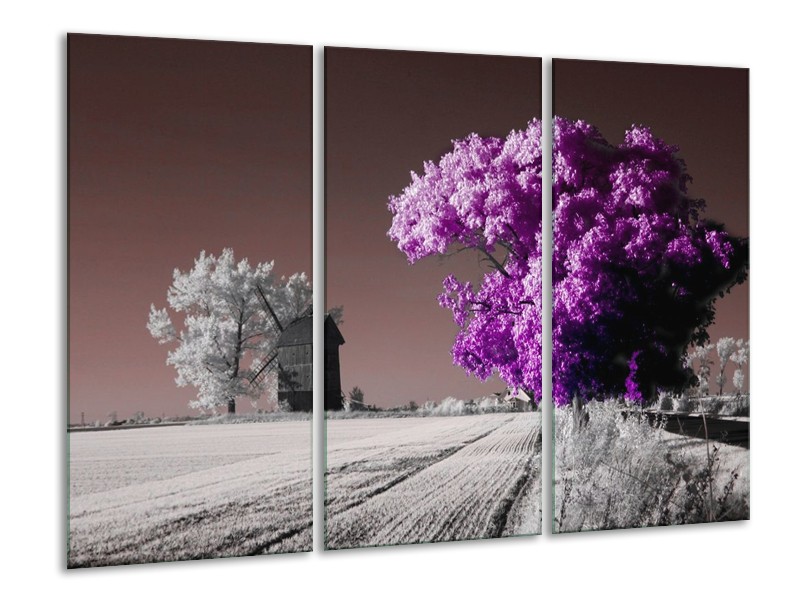 Canvas schilderij Natuur | Paars, Wit, Grijs | 120x80cm 3Luik
