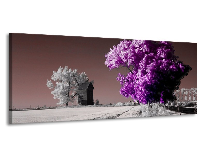 Canvas schilderij Natuur | Paars, Wit, Grijs | 145x58cm 1Luik
