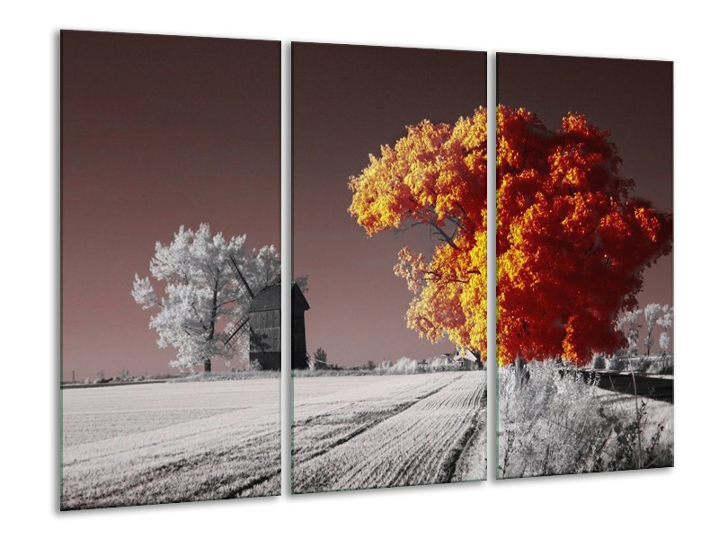 Canvas schilderij Natuur | Geel, Grijs, Wit | 120x80cm 3Luik